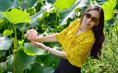 情难自禁 百度影音